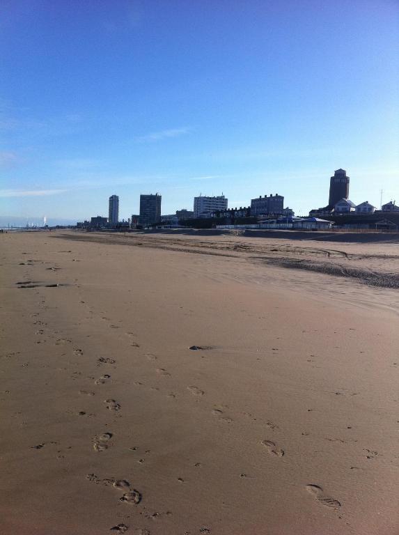 Life@Sea Daire Zandvoort Dış mekan fotoğraf