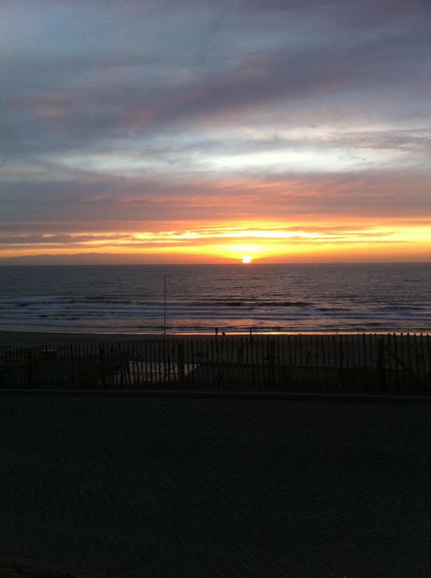 Life@Sea Daire Zandvoort Dış mekan fotoğraf