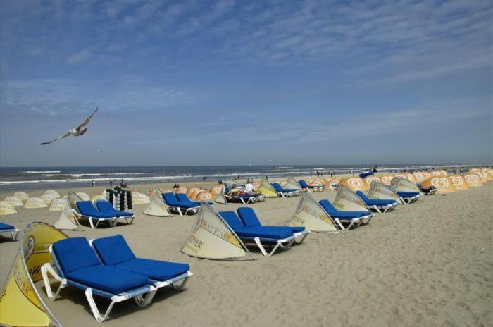 Life@Sea Daire Zandvoort Dış mekan fotoğraf